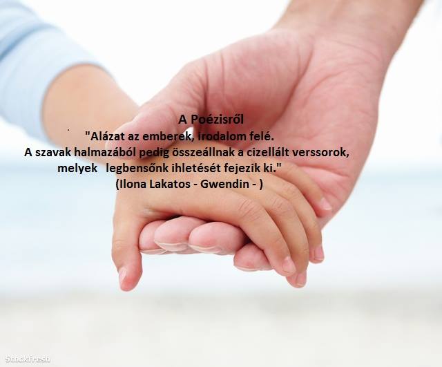 Lakatos Ilona verseket, novellákat, filmajánlókat ír