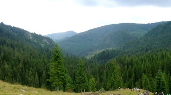 erdely2