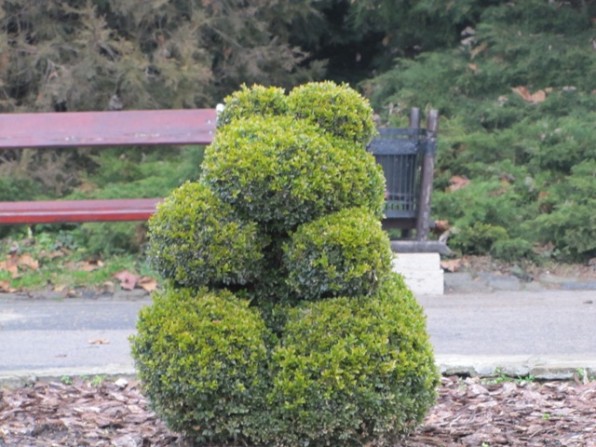 bokor az allatkertben