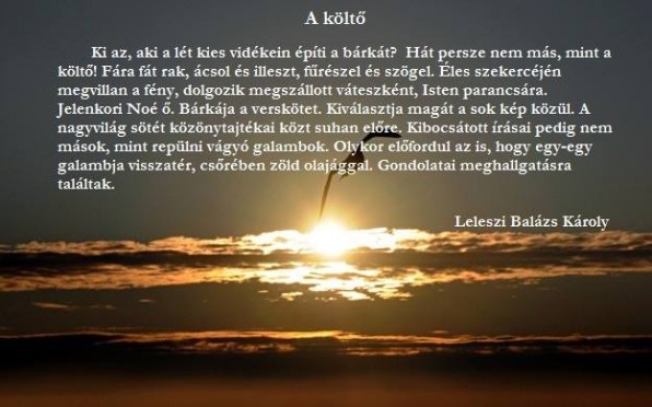 balazs_karoly9