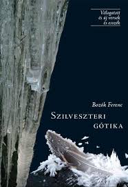 bozok_feri1