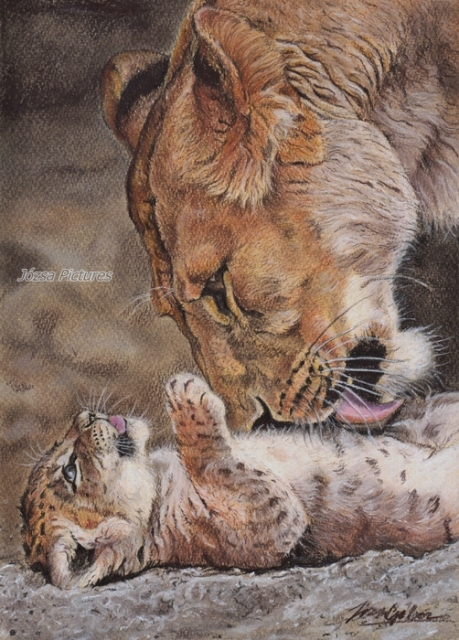 lion0