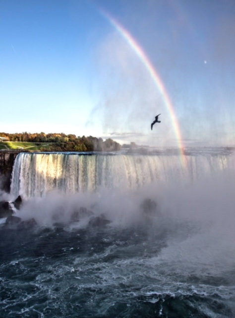 niagara6