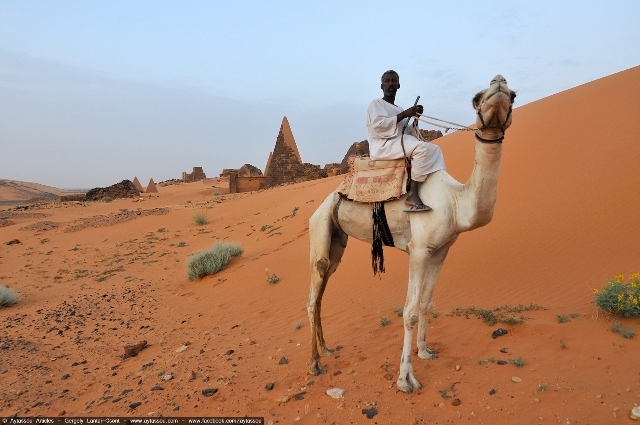 nubia2