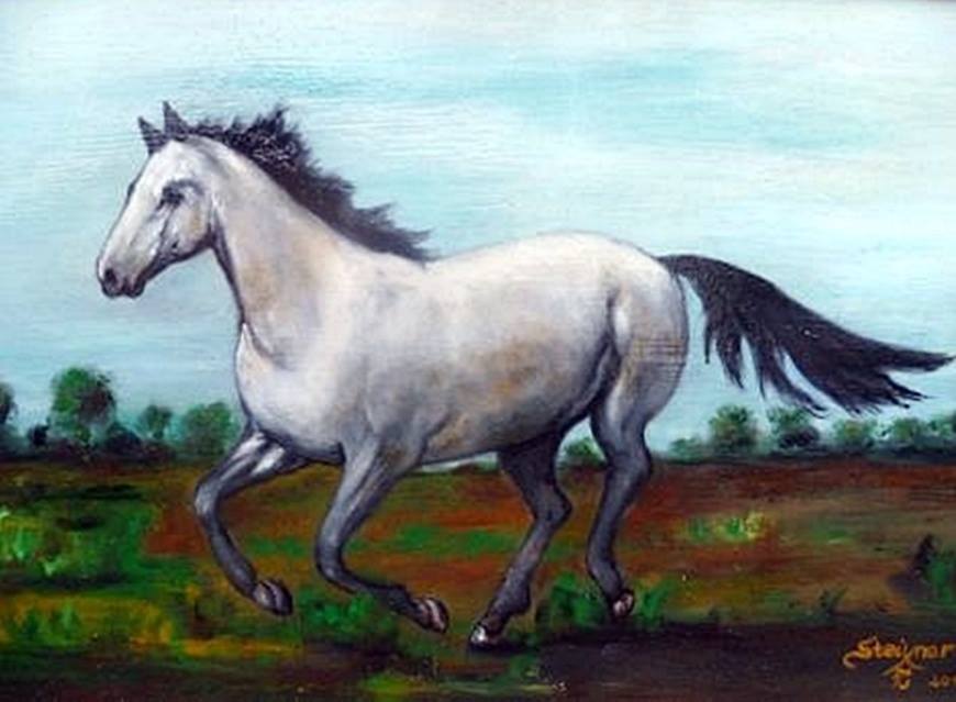 steixner010