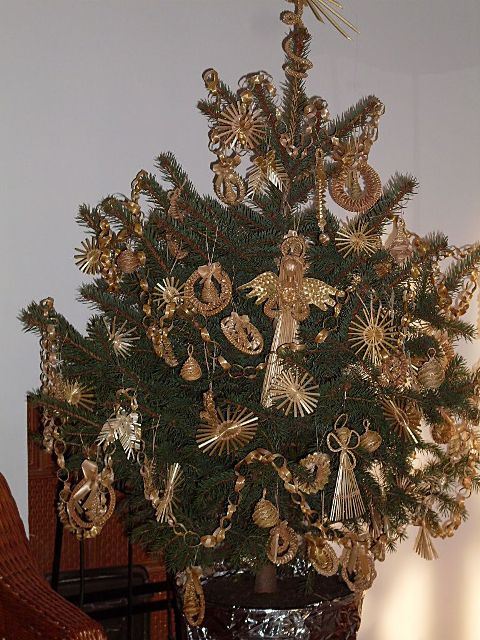 csakiildiko03