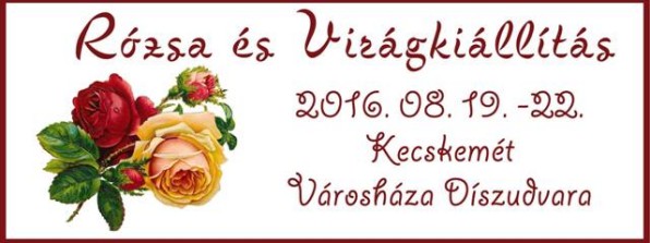 rozsakiallitas0