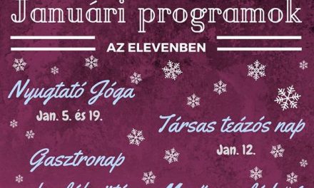 ELEVEN Ifjúsági Közösségi Tér januári ajánlata