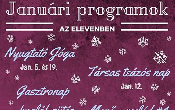 ELEVEN Ifjúsági Közösségi Tér januári ajánlata