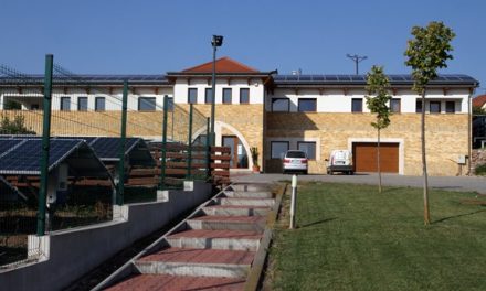 A Mezei Pincészet megálmodója és létrehozója