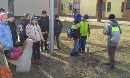Vandálok „bosszúja” három facsemetén
