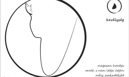 Van fogalmad róla? – Kevélység