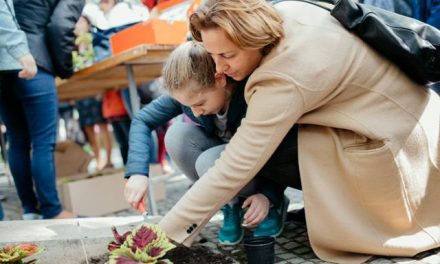 Anyák napi virágültetés Kecskemét főterén