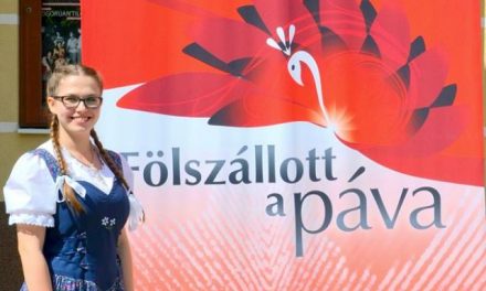Kecskeméti fiatal a Fölszállott a páva 2017 népzenei versenyén
