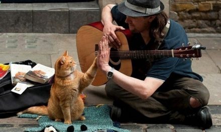 Bob, az utcamacska – A Street Cat Named Bob