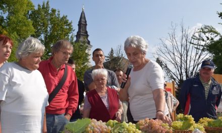 VII. Őszi Helyi Termék Ünnep – Színes programok, újdonságok Kecskemét főterén