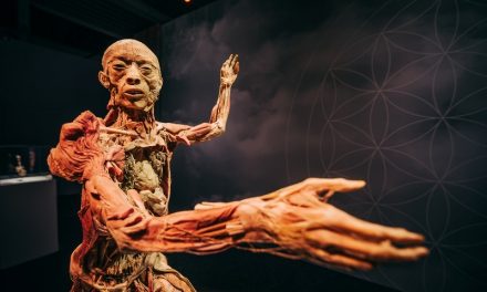 Budapestre érkezik a BODY kiállítás