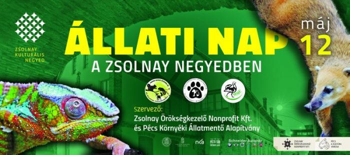 „Állati nap” a Zsolnay Negyedben