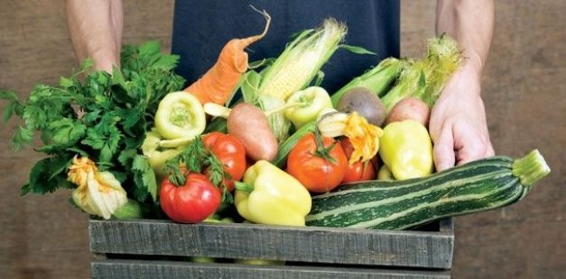 Teljes lendületben Közép-Európa öt országában a Slow Food-CE projekt
