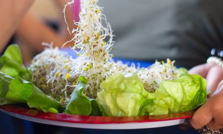 Hamarosan kezdődik a 22. Vegetáriánus Fesztivál