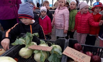 Környezetismeretre nevelés a kecskeméti piacon