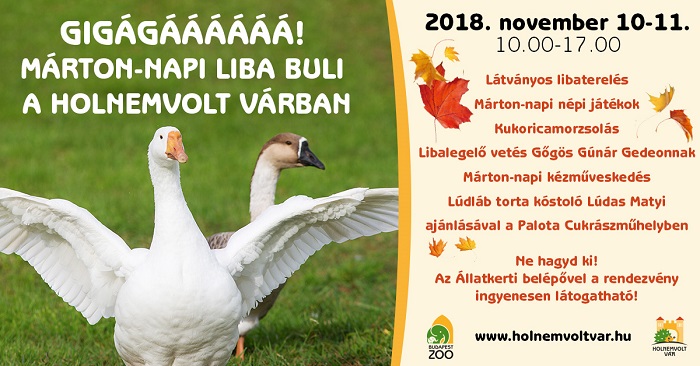 Liba Buli a Holnemvolt Várban