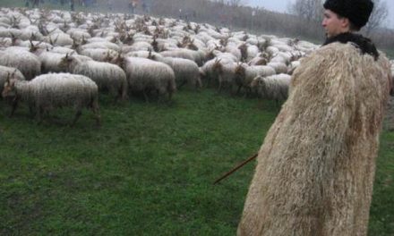 Jó pásztorok vagyunk-e, akikre Isten mások sorsát bízta?