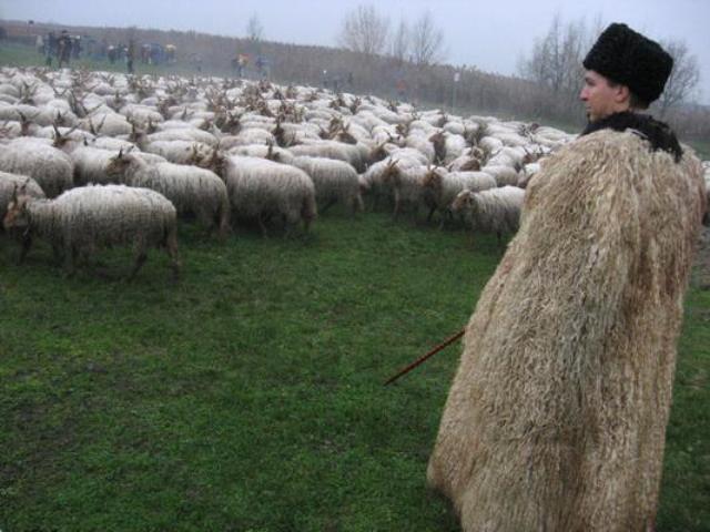 Jó pásztorok vagyunk-e, akikre Isten mások sorsát bízta?