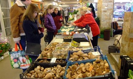Több, mint téli csemege a gomba