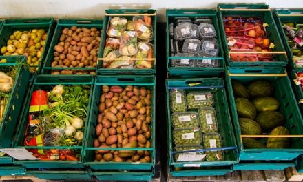 Több mint 11.000 tonna élelmiszert mentett a Magyar Élelmiszerbank Egyesület 2018-ban