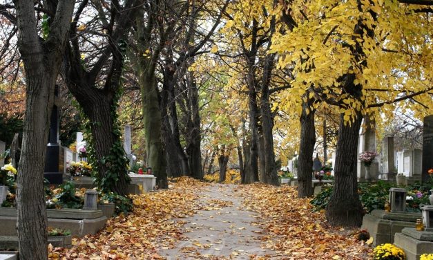 Bizony por és hamu vagyunk – Legendás helyek Budapesten: Farkasréti temető