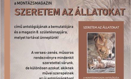 Antológia bemutató és Montázsmagazin születésnap