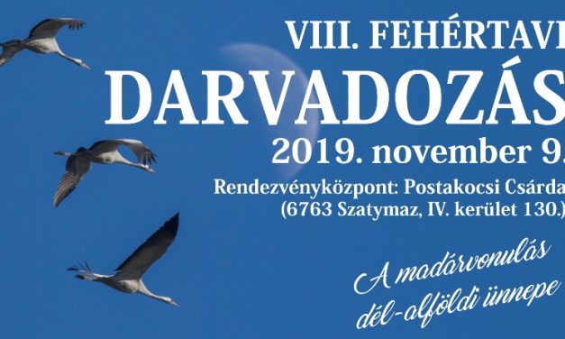 Kalandok a homok és a szik birodalmában