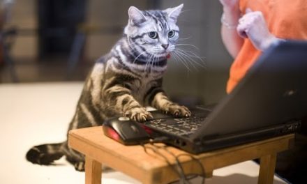 Etikett a NETEN – Viselkedési szabályok az interneten