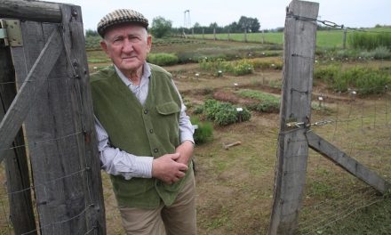 Vírus ellen immunerősítés Szabó Gyuri bácsi teáival