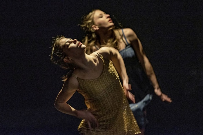 tanc vilagnapja