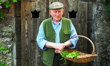 Mozgásszervi panaszok kezelése gyógynövényekkel