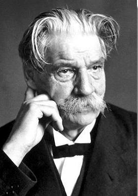 albert schweitzer
