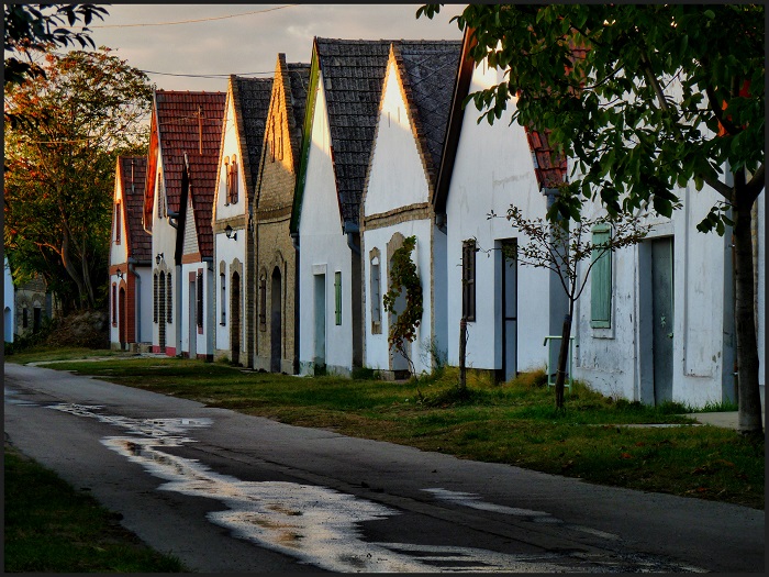 Kinyit a hajósi pincefalu az augusztus 20-i hétvégén