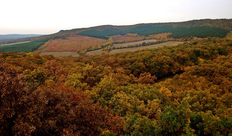 A szeptember nem csak az iskolakezdés hónapja