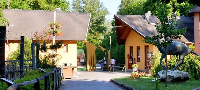 Óvodások hete a Kecskeméti Vadaskertben!