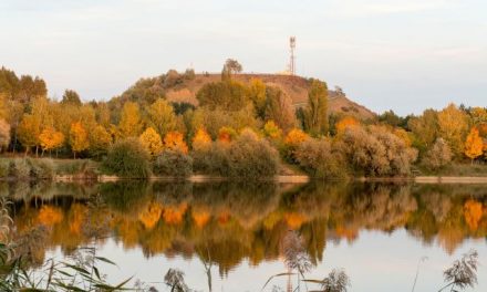 Sétára hív a CédrusNet Kecskemét októberben