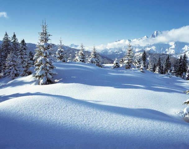december