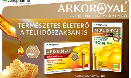 Apiterápia – Ősi gyógymód, télen is segít