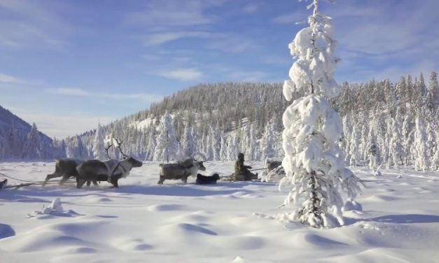 Január: Boldogasszony hava – Hónapsoroló