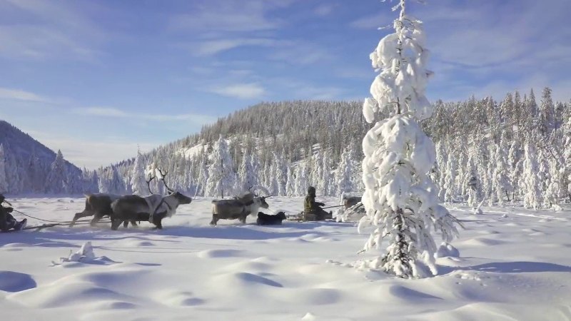 Január: Boldogasszony hava – Hónapsoroló