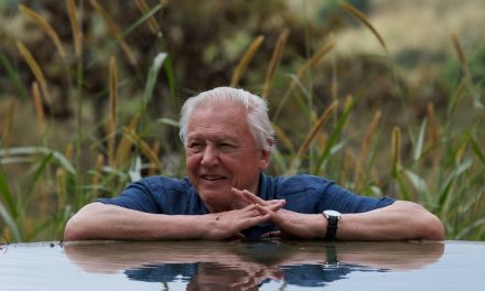 Sir David Attenborough 95 – Egész hétvégén a Spektrumon