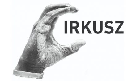 Circus Flow – Alkotóművészeti kiállítás a Dunán!