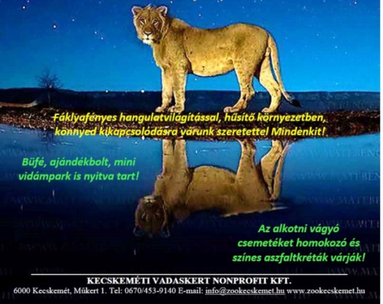 Nyári este a Kecskeméti Vadaskertben