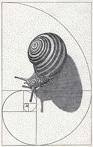 tarlatvezetes